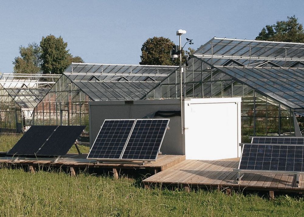 Versuchsanlage Campus ZHAW Wädenswil_bearb.jpg Versuchsanlage Campus ZHAW Wädenswil_bearb
